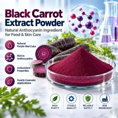 What Are Black Carrot Extract Benefits for Skin and Food Products?